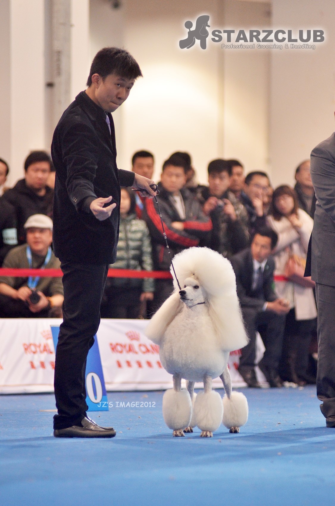 fanyu dog brozne sculpture poodle 