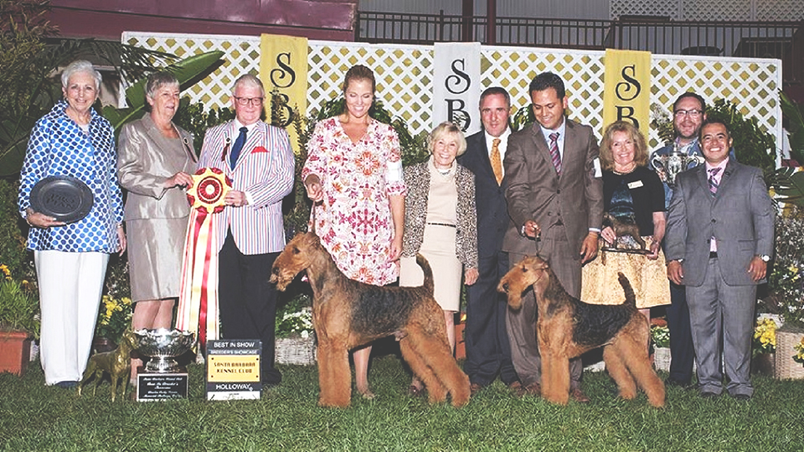 Airedale Terrier